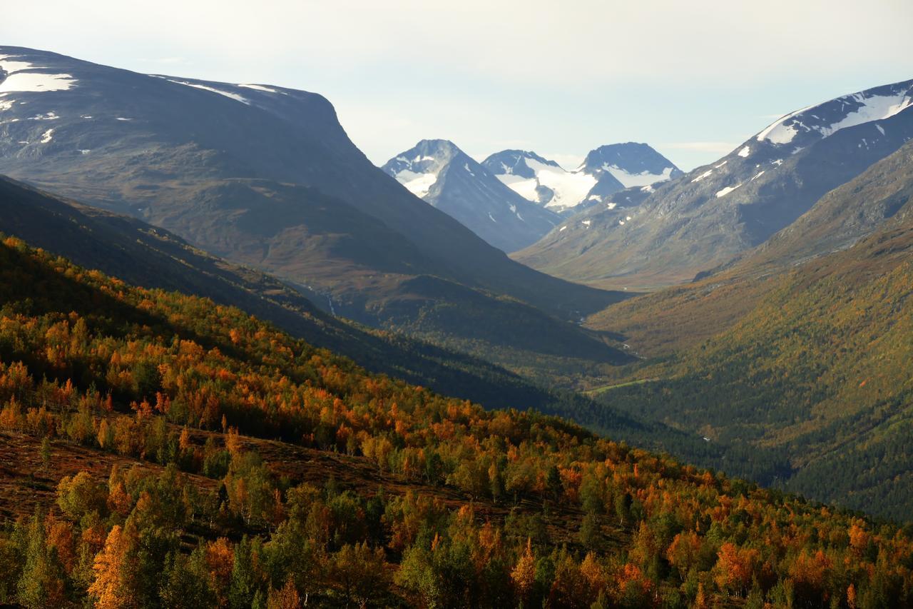 Strind Gard, Visdalssetra Vila Boverdalen Exterior foto