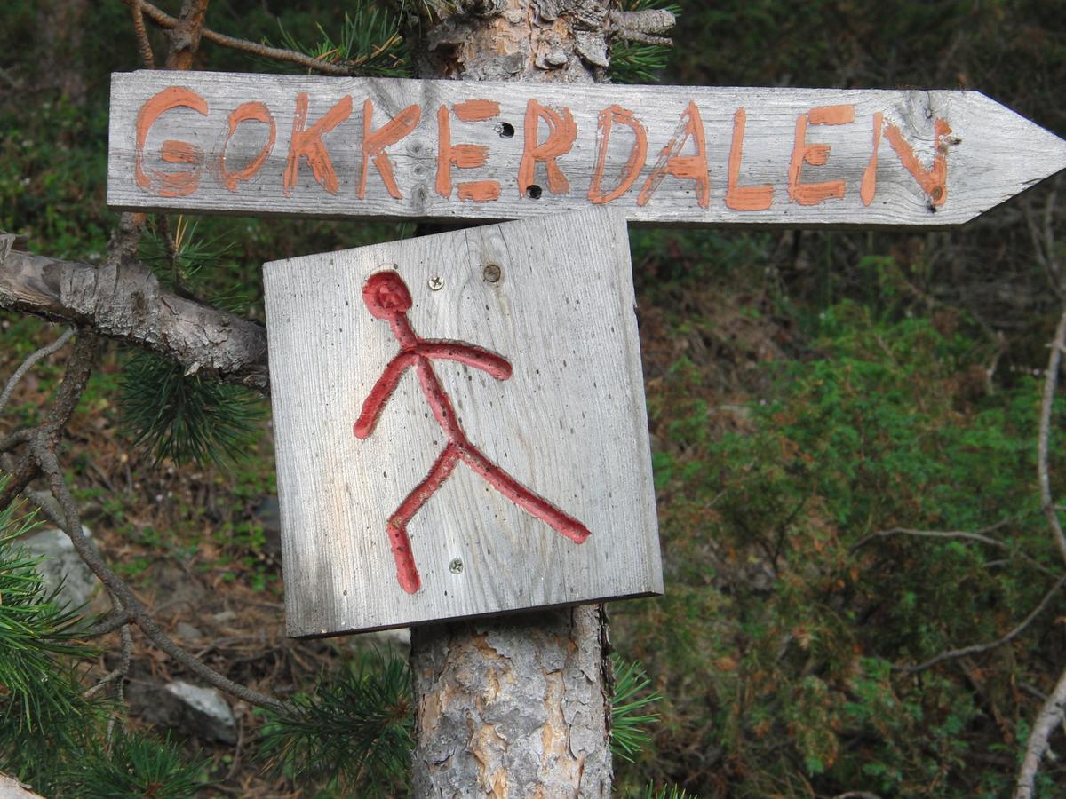 Strind Gard, Visdalssetra Vila Boverdalen Exterior foto