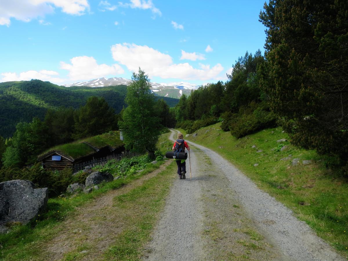 Strind Gard, Visdalssetra Vila Boverdalen Exterior foto